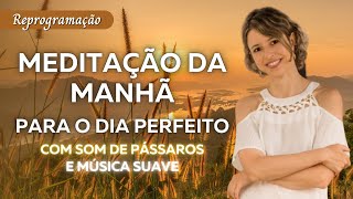 Meditação da manhã para o dia perfeito Melhor reprogramação para iniciar bem o dia Lei da Atração [upl. by Adi]