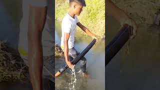 Amazing pipe fishing in river [upl. by Cassy]