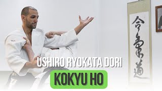 Ushiro Ryokata dori Kokyu Ho [upl. by Iram]