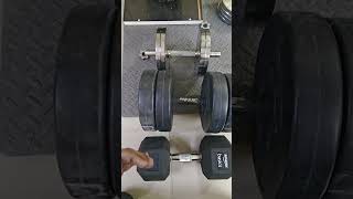 PVC Vs Steel Vs Rubber Dumbbells [upl. by Carothers729]