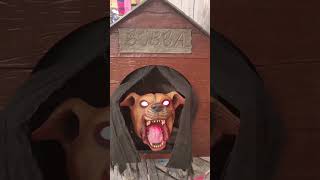 Dog Box explore automobile halloween surrey spirithalloween trending punjabi [upl. by Katha224]