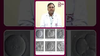 IVF Process explained  Dr Abhinay Singh Sengar  IVF specialist  Nova IVF Dehradun [upl. by Aihgn]