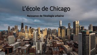 La Sociolinguistique Urbaine 1 Les précurseurs  École de Chicago [upl. by Amaerd854]