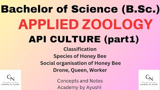 Apiculture  Part1  Applied Zoology  For BSc Students  Concepts amp Notes Academy by Ayushi [upl. by Eetnod]