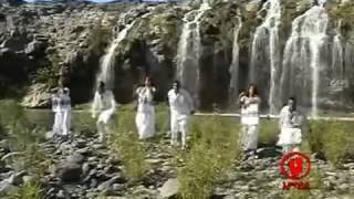 Taddalaa Gammachuu Yaamioftuu Oromo Music [upl. by Loyce]