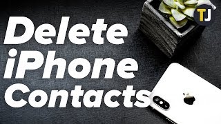 How to Delete ALL Your iPhone Contacts [upl. by Ellerrehs857]