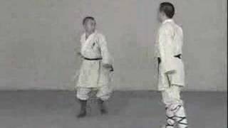 The 18 Movements of Shaolin [upl. by Minda890]