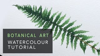 Botanical Art  Fern with watercolour ✎ CurtisSheeran [upl. by Ecenahs]