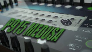 The P915 MEDUSA Fixed Filter Bank [upl. by Bull723]