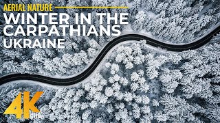 Snowy Winter in the Carpathian Mountains Ukraine  4K UHD Drone Footage  Calming Music [upl. by Ahsaf]