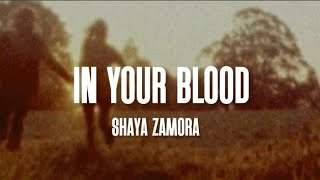 Shaya Zamora  In your Blood  Lyrics  unreleased song [upl. by Hanyaz]