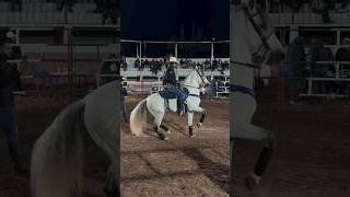 Chulada de Caballo fino [upl. by Eseer]