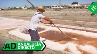 Andalucía Directo  Sal con sabor a barbacoa o picante en las salinas de San Fernando [upl. by Sergias83]