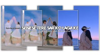 senese tere sar ko laga ke🥀aesthetic love status❤️ couple love status✨slowed and reverb status 💫 [upl. by Mccafferty526]