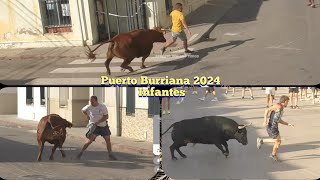 Tarde Hnos Infantes en Las Fiestas del Carmen  Puerto Burriana  21 Julio 2024 ✅🎥 [upl. by Nonohcle]