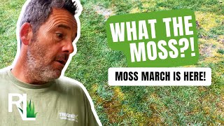 WHAT THE MOSS HOW TO TREAT MOSS ON YOUR LAWN IN MARCH [upl. by Chace748]