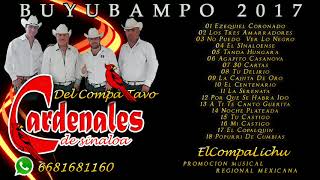 Los Cardenales De Sinaloa  Disco Completo En Vivo Buyubampo Choix 2017 [upl. by Shear708]