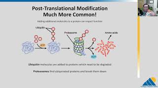 BIOL201 Ch166  Eukaryotic Translational and PostTranslational Gene Regulation [upl. by Aleris]