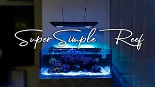 How To Setup a Super Simple Saltwater Reef Aquarium for Beginners [upl. by Haimirej951]