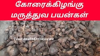 கோரைக்கிழங்கு மருத்துவ பயன்கள்  korai kilangu uses in tamil [upl. by Hebert]