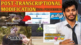 Post transcriptional modificationtamilnotessplicing5 capping 3 polyadenylationtranscription [upl. by Ara]