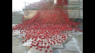 Remembrance Service NonSubscribing Presbyterian Worship Sunday 8th November 2020 [upl. by Faline]