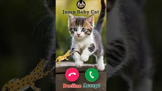 Calling jump baby cat Meow meow meow cat ytshorts arhamaarishquotes shorts viral [upl. by Fletch]