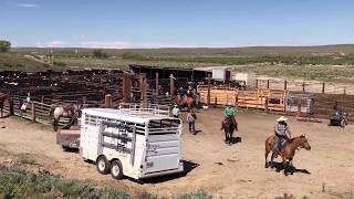 Mike Jiggs Lott  Stanley Bean Spring Branding 2017 Riverton Wyoming [upl. by Acey397]