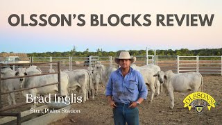 Mineral amp Protein Supplementation for Large Cattle Operations  Brad Inglis from Sturt Plains [upl. by Amalle]