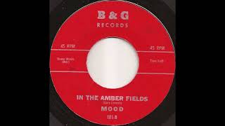 Mood – In The Amber Fields 1967 Garage Rock [upl. by Acirrehs]