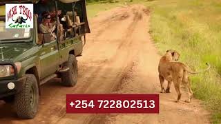 luxury Kenya safari with Bushtroop Tours and Safaris [upl. by Murtha458]