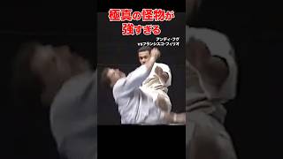 極真の怪物現る！圧巻の一撃必殺KO shortsアンディフグ格闘技ko [upl. by Iaoh]