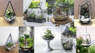 Sleek and Stylish Modern Terrarium Designs for Every Room [upl. by Taddeo]