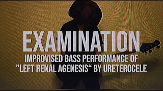 Ureterocele  Improvised Bass Performance of quotLeft Renal Agenesisquot  Examination [upl. by Yhtorod]