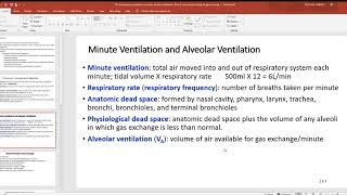 48 Compliance pulmonary volumes alveolar ventilation Dalton’s law and principles of gas exchange [upl. by Asseralc]