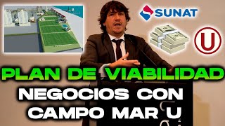 ¡EXPONGO EL PLAN DE VIABILIDAD ¿NEGOCIOS CON CAMPO MAR PARA PAGAR LA DEUDA DE UNIVERSITARIO [upl. by Acsisnarf]