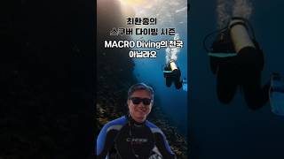 최환종의스쿠버다이빙 MACRODiving DiversidorisCrocea Thorunnaflorens NoumeaSudanica [upl. by Yentruok]