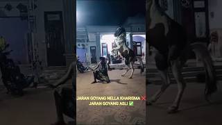 JARAN GOYANG NELLA KHARISMA ❌ JARAN GOYANH ASLI ✅ Jarangoyang jarangoyangasli [upl. by Larimor]