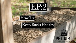 How to Tell if a buck is healthy based on a shed  Monster Meal Pt5  PayDirt [upl. by Sapphera536]