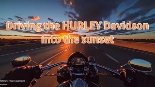 Sunset Ride Cruising into the Evening on a HarleyDavidson HarleyDavidson SunsetRide [upl. by Dodi]