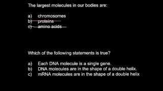 Largest molecules in our bodies are [upl. by Nylarej783]