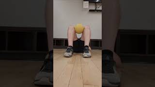 Adductor Ball Squeeze Iso [upl. by Placeeda905]