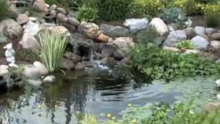 Create a Water Garden [upl. by Ayik]