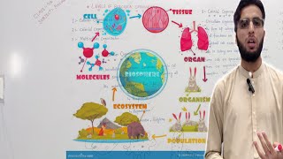 Biology  Levels of Organisation Cells Tissues Organs and Organ Systems hashir acadmey pashto [upl. by Akimas]