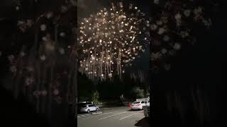 Disney Fireworks from Majestic Garden Hotel Parking Lot [upl. by Farrar137]