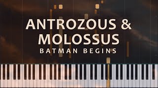 Antrozous and Molossus from Batman Begins by Hans Zimmer and James Newton Howard Piano Tutorial [upl. by Arrej]