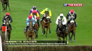 Kilbeggan Highlights 22nd april 2016 [upl. by Enecnarf]