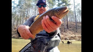 Big trout on Chauga river SC [upl. by Lory]