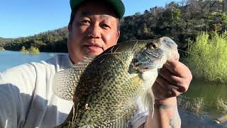 crappie fishing 🎣 at lake Berryessa [upl. by Nyltyak]