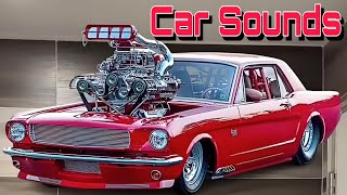 Which Car Sound One is Bestv6 v8 10 v12 v14 engine sound shorts [upl. by Assetal751]